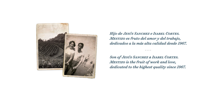 Mestizo 金屬罐裝咖啡概念包裝設計插畫設計欣賞-上海包裝設計公司