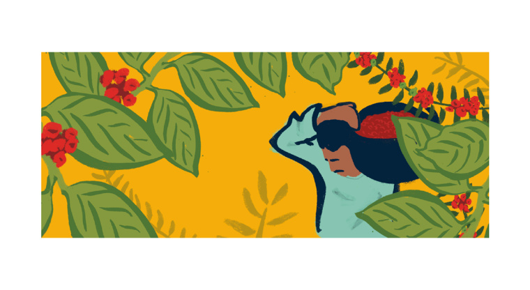 Mestizo 金屬罐裝咖啡概念包裝設計插畫設計欣賞-上海包裝設計公司