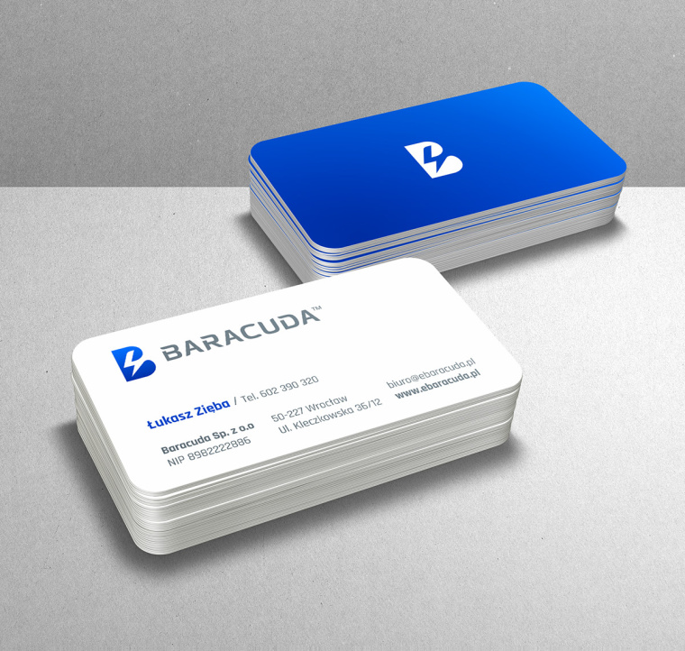 Baracuda Sp工業服務品牌形象設計-VI設計--上海品牌VI設計公司