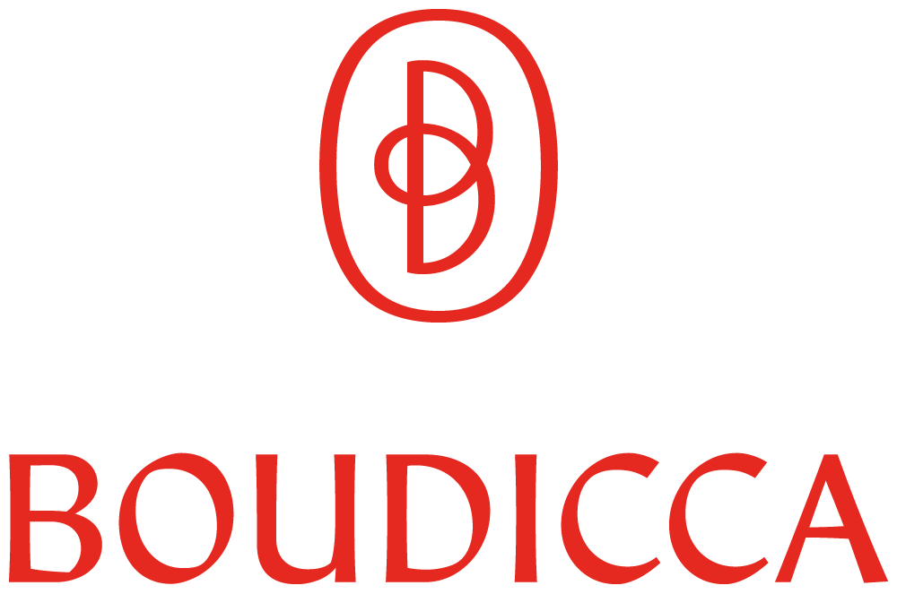 Boudicca 公司股權(quán)投資治理顧問公司新標識logo設(shè)計-上海logo設(shè)計公司