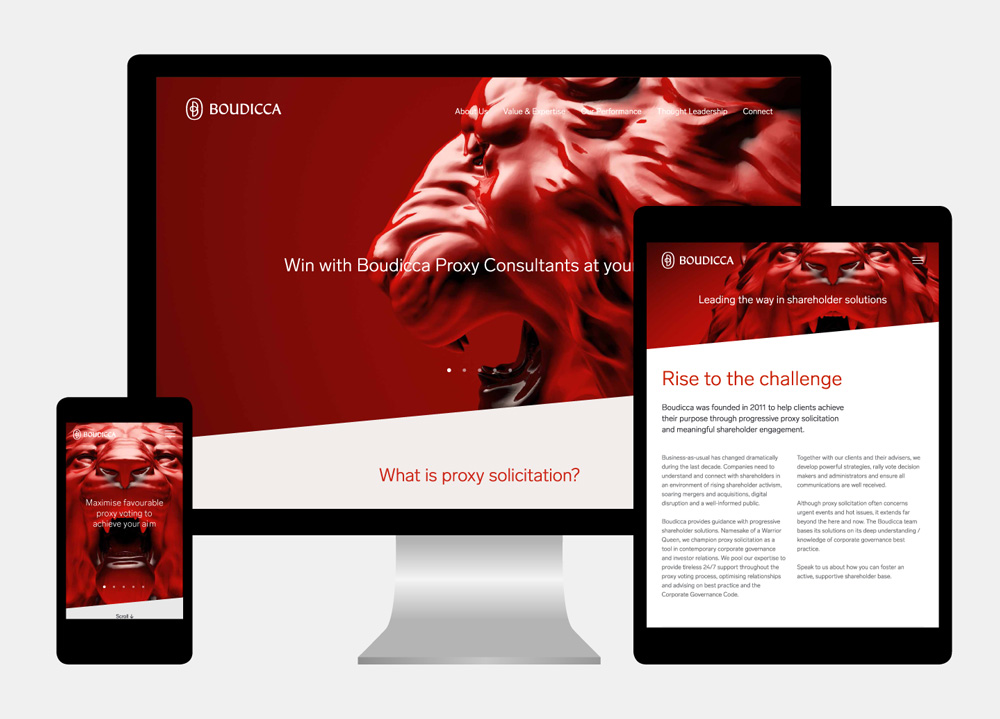 Boudicca 公司股權(quán)投資治理顧問公司企業(yè)品牌形象設(shè)計-網(wǎng)站設(shè)計-上海品牌設(shè)計公司