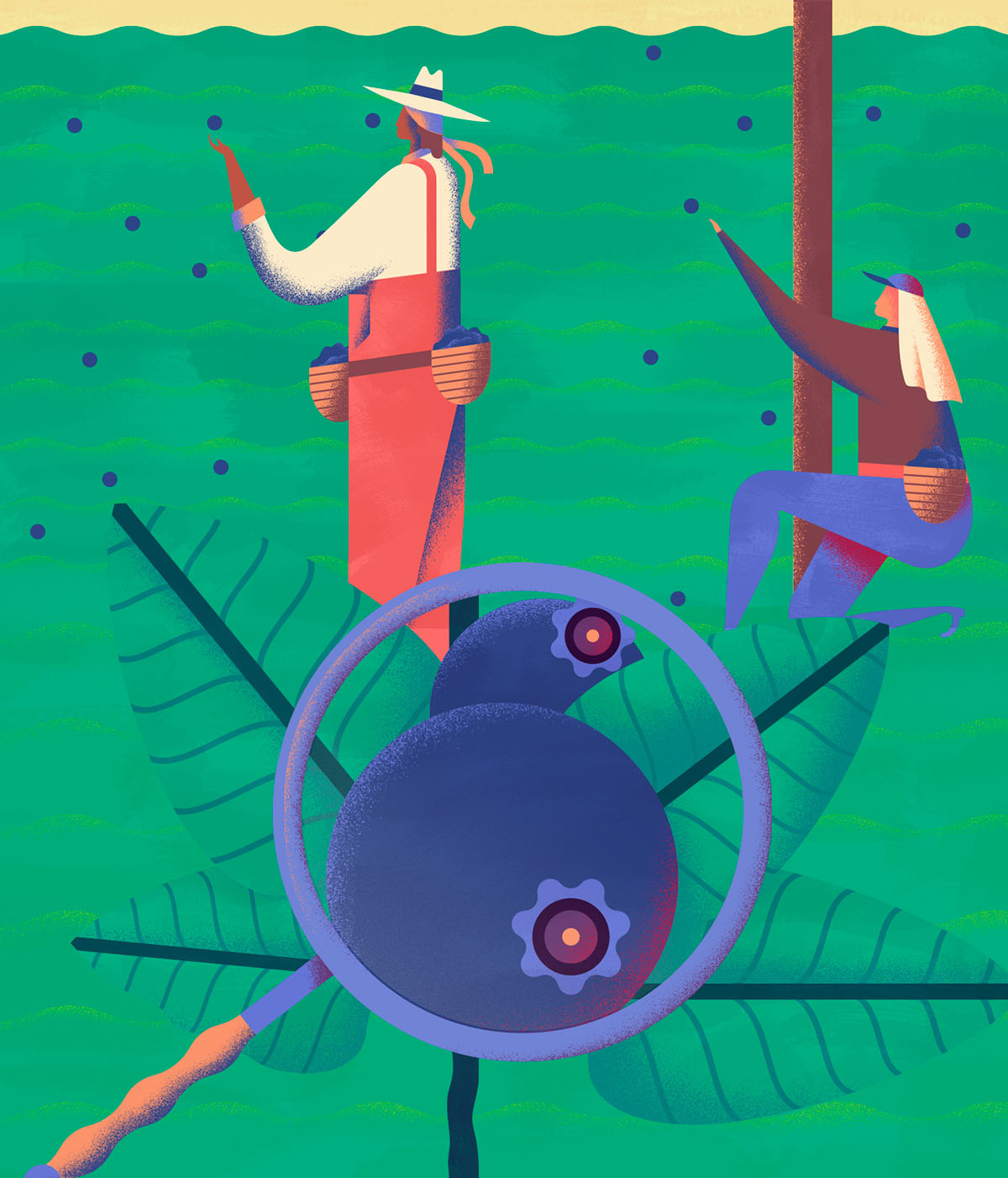 上海品牌設(shè)計(jì)公司欣賞：Maravilha農(nóng)場(chǎng)農(nóng)業(yè)種植插畫設(shè)計(jì)