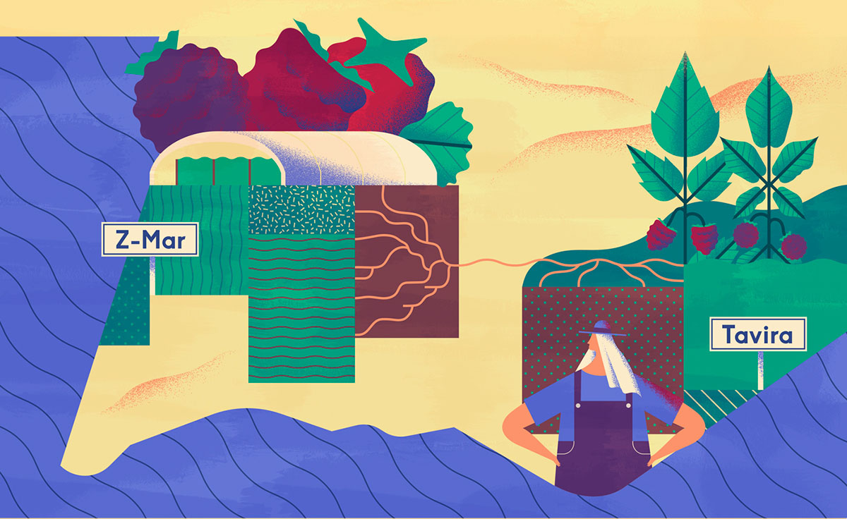 上海品牌設(shè)計(jì)公司欣賞：Maravilha農(nóng)場(chǎng)農(nóng)業(yè)種植插畫設(shè)計(jì)