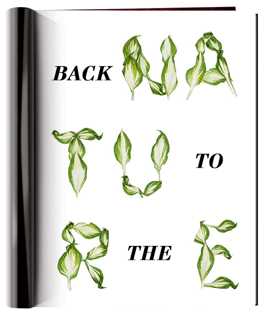 葉子創意英文字體設計-上海品牌設計公司