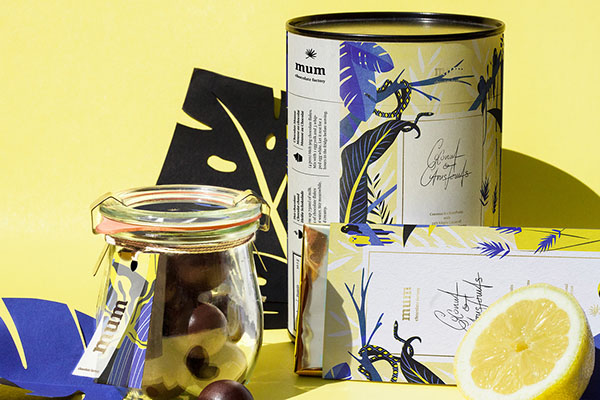 “媽媽的巧克力工廠(chǎng)”巧克力品牌包裝設(shè)計(jì)-上海食品包裝設(shè)計(jì)公司欣賞