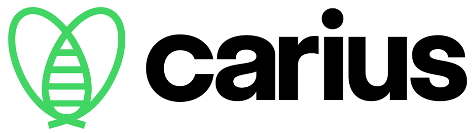 法國卡里烏斯新型醫療運輸網絡平臺蜜蜂LOGO設計-上海品牌LOGO設計公司