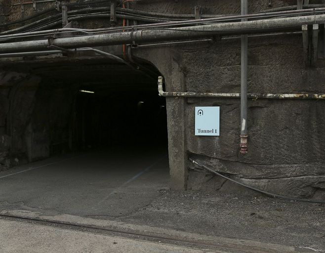 澳洲鸚鵡島空間環境導示設計-上海品牌策劃設計公司