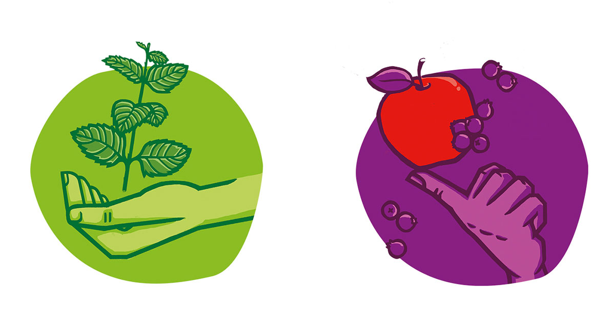 Korzen 健康果汁包裝設(shè)計(jì)插畫設(shè)計(jì)欣賞-上海包裝設(shè)計(jì)公司