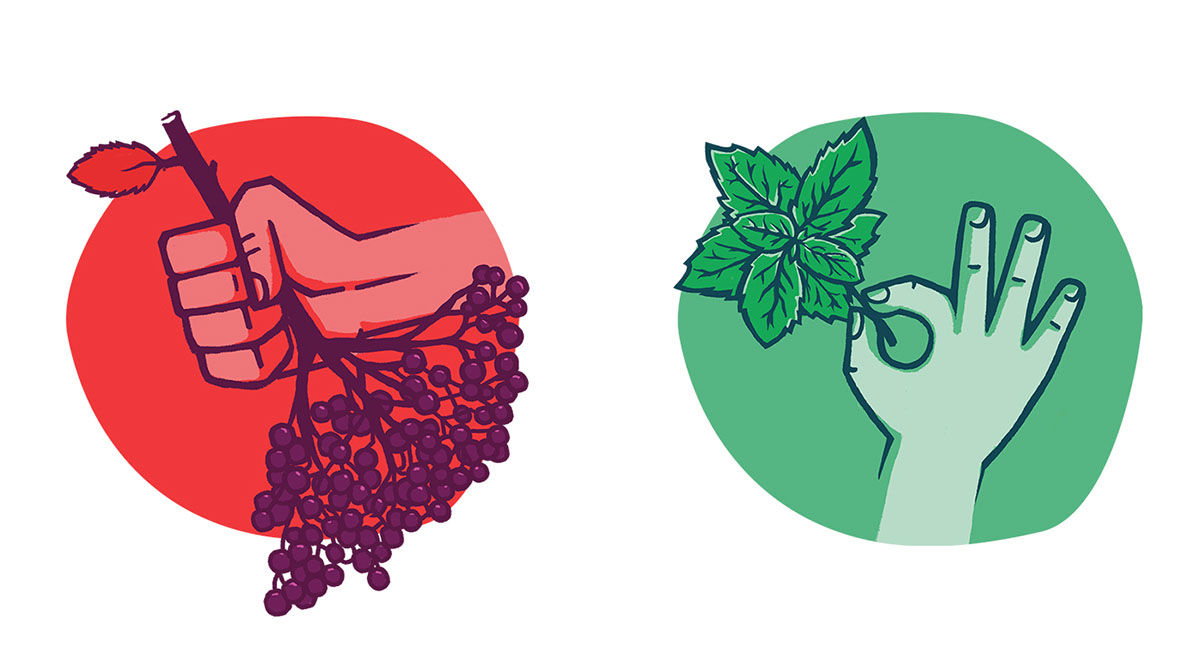 Korzen 健康果汁包裝設(shè)計(jì)插畫設(shè)計(jì)欣賞-上海包裝設(shè)計(jì)公司