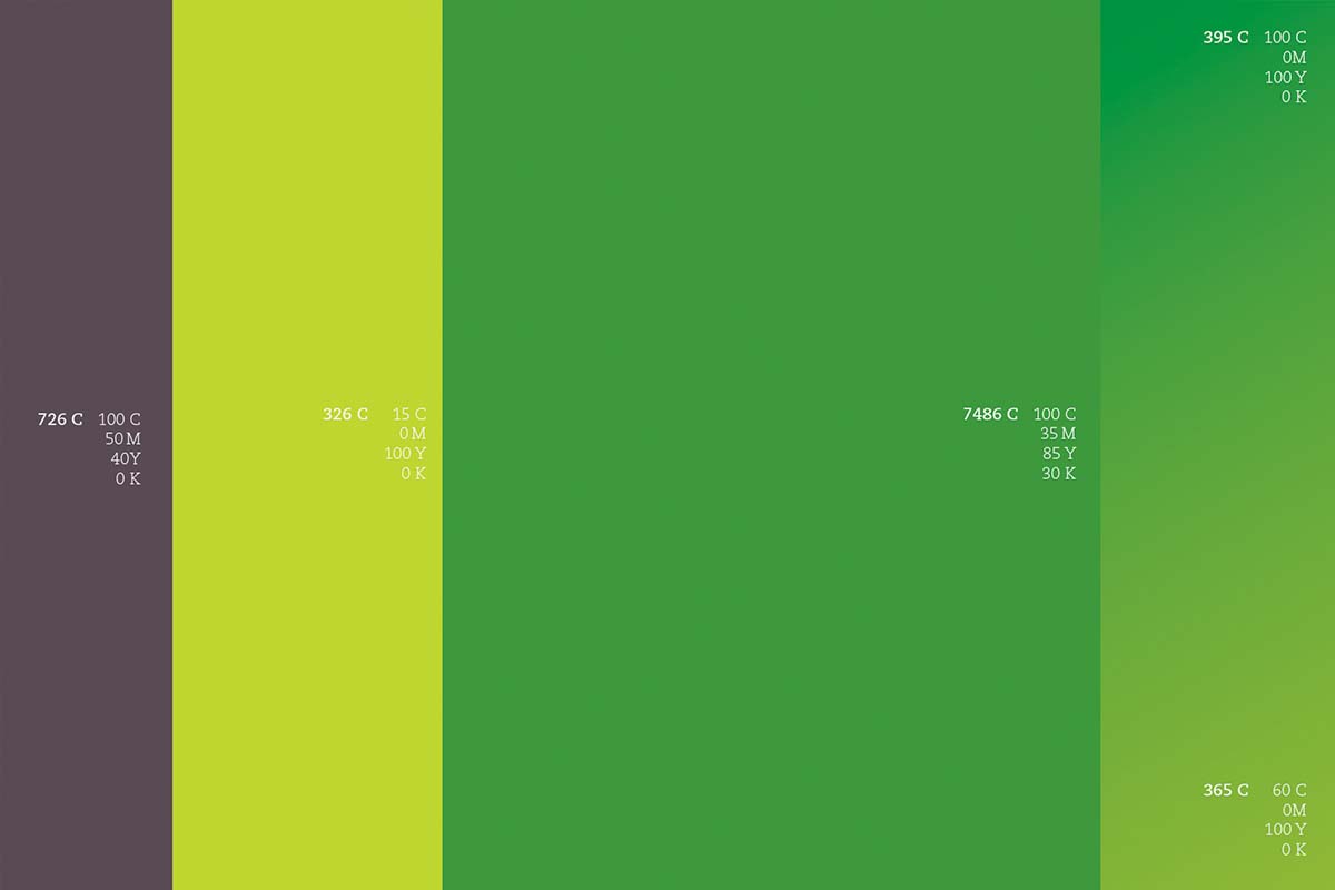 Bagisa 農業品牌形象更新設計