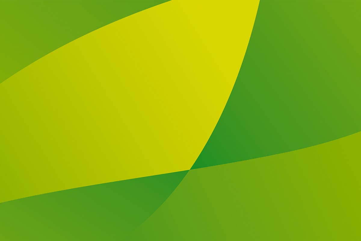 Bagisa 農業品牌形象更新設計