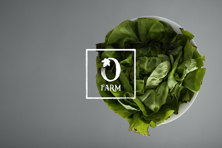 Olivette 農場品牌形象設計標志設計