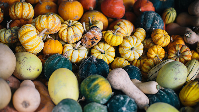 Olivette 農場品牌形象設計-上海農業品牌策劃設計公司