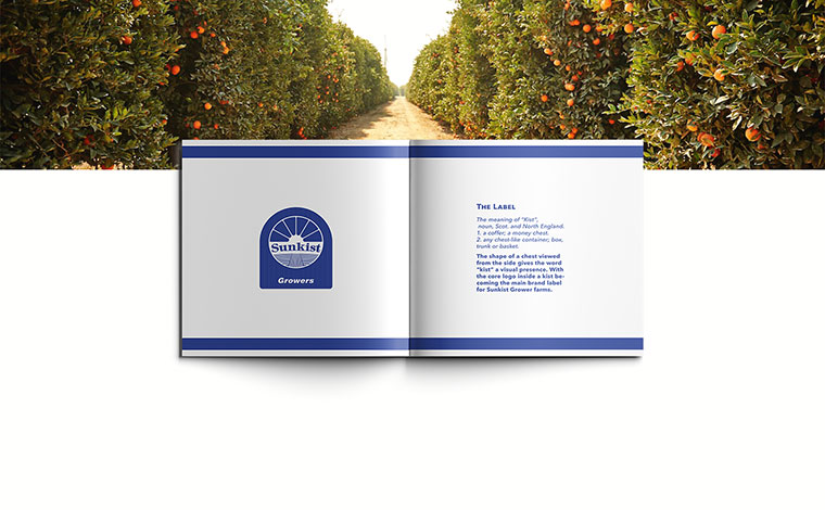 Sunkist 水果品牌logo設計VI設計-上海logo設計VI設計公司