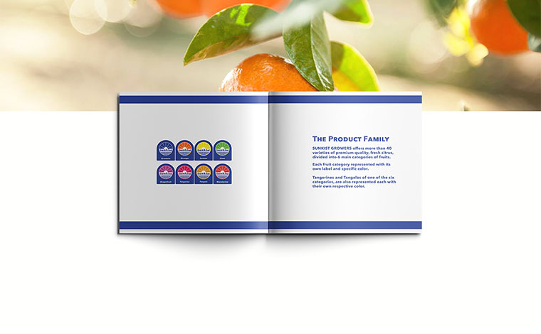 Sunkist 水果品牌logo設計VI設計-上海logo設計VI設計公司