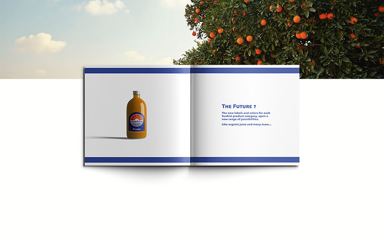 Sunkist 水果品牌logo設計VI設計-上海logo設計VI設計公司