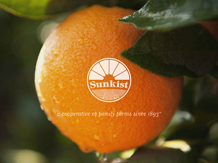 Sunkist 水果品牌logo設計VI設計-上海logo設計VI設計公司