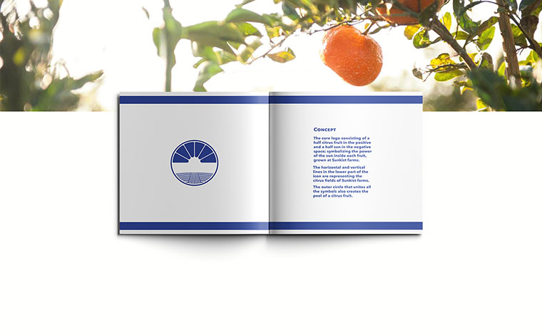 Sunkist 水果品牌logo設計VI設計-上海logo設計VI設計公司