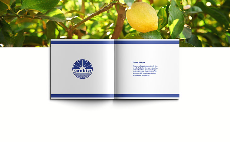 Sunkist 水果品牌logo設計VI設計-上海logo設計VI設計公司