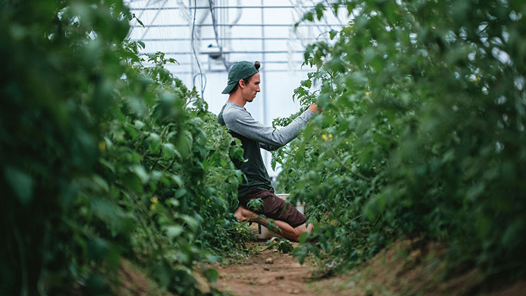Ferme 地?zé)釡厥肄r(nóng)場(chǎng)農(nóng)業(yè)品牌視覺(jué)形象設(shè)計(jì)-上海品牌設(shè)計(jì)公司