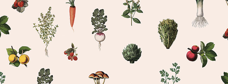 Ferme 地?zé)釡厥肄r(nóng)場(chǎng)農(nóng)業(yè)品牌視覺(jué)形象設(shè)計(jì)-上海品牌設(shè)計(jì)公司