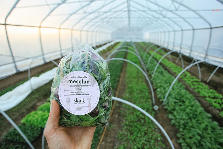 Ferme 地?zé)釡厥肄r(nóng)場(chǎng)農(nóng)業(yè)品牌視覺(jué)形象設(shè)計(jì)-上海品牌設(shè)計(jì)公司