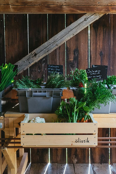 Ferme 地?zé)釡厥肄r(nóng)場(chǎng)農(nóng)業(yè)品牌視覺(jué)形象設(shè)計(jì)-上海品牌設(shè)計(jì)公司