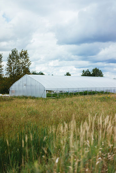 Ferme 地?zé)釡厥肄r(nóng)場(chǎng)農(nóng)業(yè)品牌視覺(jué)形象設(shè)計(jì)-上海品牌設(shè)計(jì)公司
