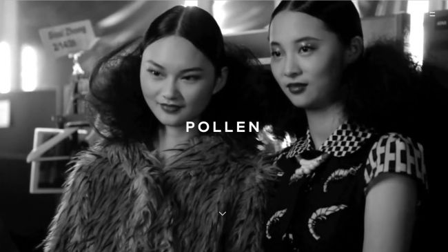 2017年倫敦7家最佳網站設計-Pollen 品牌和數字代理公司網站-上海網站策劃設計公司