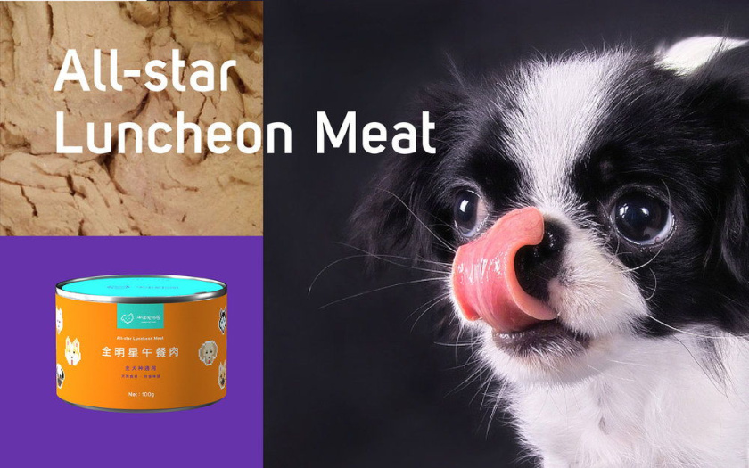 Nonda寵物店商品品牌包裝設計，馬賽克寵物插畫風格