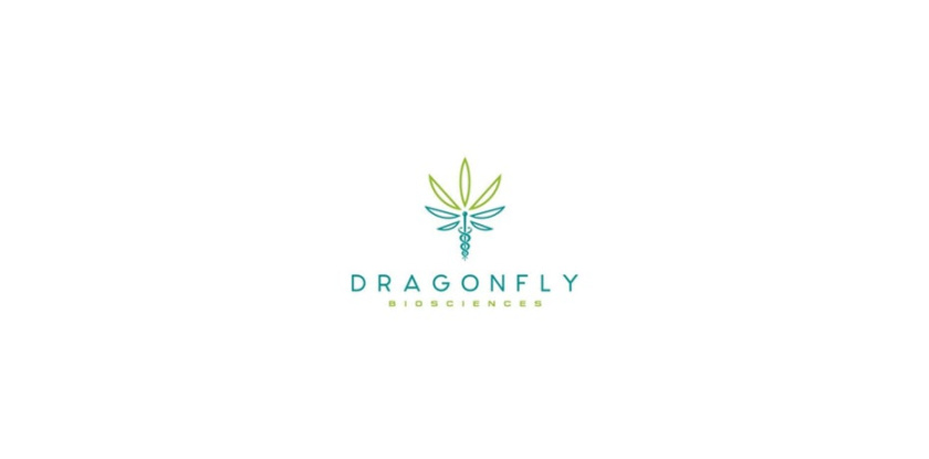 Dragonfly Sciences健康/制藥公司標志設計