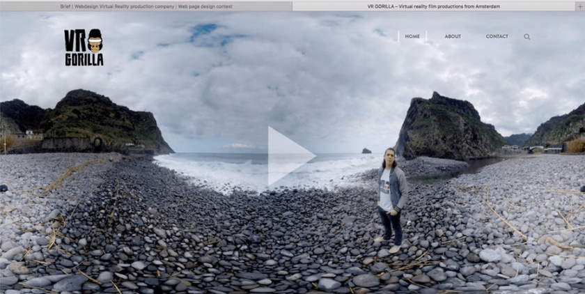 SOMA設(shè)計經(jīng)銷商VR大猩猩網(wǎng)頁設(shè)計