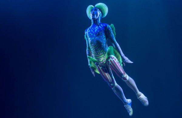 一類品牌，在于創(chuàng)建一個新品類-上海品牌策劃公司