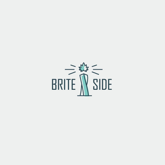 Brite Side的組合標志設計-上海Logo設計公司logo設計最終指南 Brite Side的組合標志設計-上海Logo設計公司logo設計最終指南