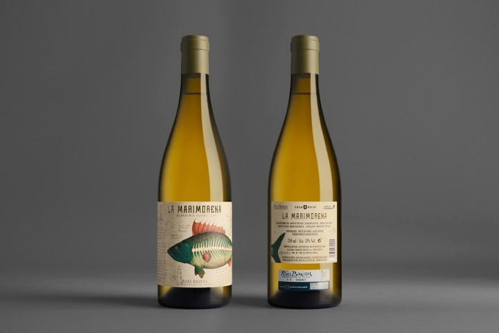 Albari?o 葡萄酒包裝設計，復古的魚插畫標簽風格