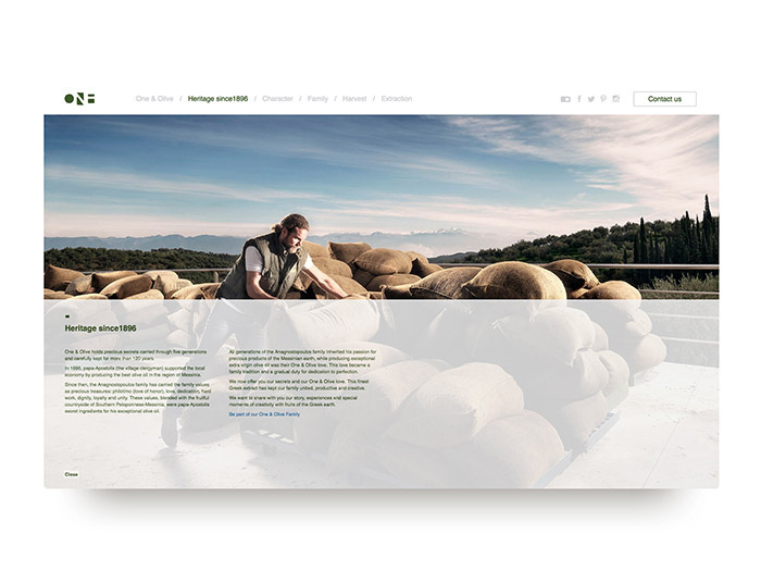 One & Olive 希臘特級初榨橄欖油網站設計-上海網站設計建設公司