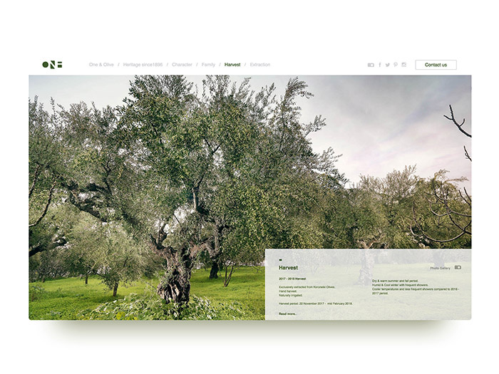 One & Olive 希臘特級初榨橄欖油網站設計-上海網站設計建設公司