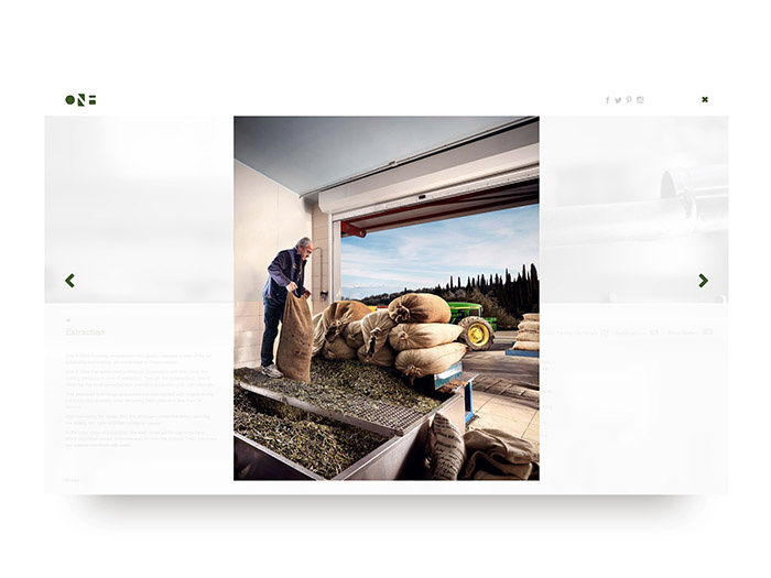 One & Olive 希臘特級初榨橄欖油網站設計-上海網站設計建設公司