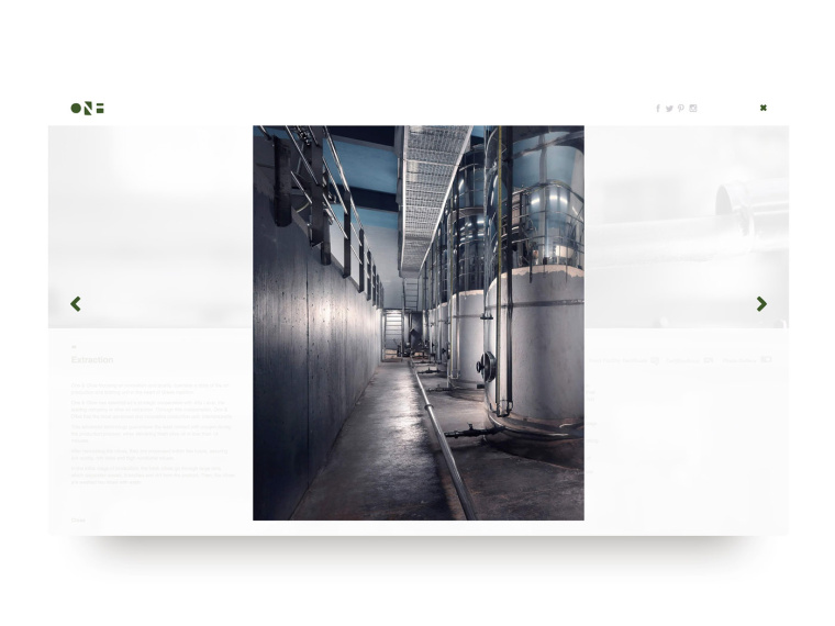 One & Olive 希臘特級初榨橄欖油網站設計-上海網站設計建設公司