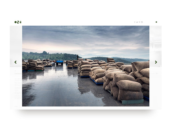 One & Olive 希臘特級初榨橄欖油網站設計-上海網站設計建設公司