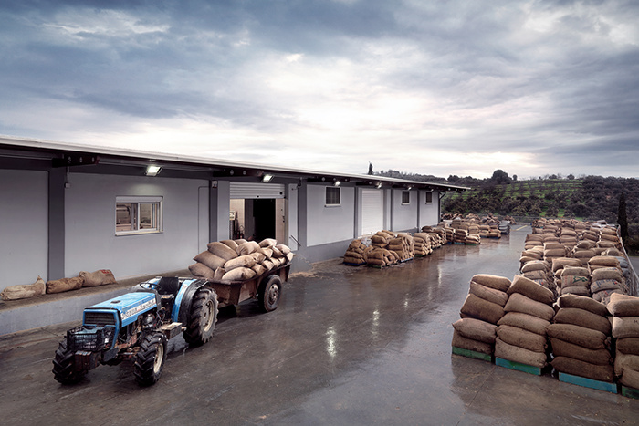 One & Olive 希臘特級初榨橄欖油品牌設計包裝設計