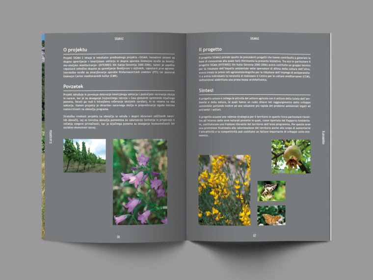 SIGMA2—Brochure畫(huà)冊(cè)設(shè)計(jì)-上海畫(huà)冊(cè)設(shè)計(jì)公司-尚略廣告