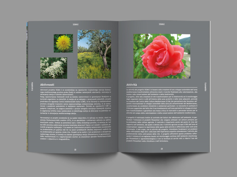 SIGMA2—Brochure畫(huà)冊(cè)設(shè)計(jì)-上海畫(huà)冊(cè)設(shè)計(jì)公司-尚略廣告