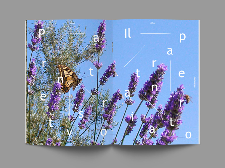 SIGMA2環(huán)境與生物多樣性環(huán)保宣傳冊(cè)設(shè)計(jì)-上海畫(huà)冊(cè)設(shè)計(jì)公司-尚略廣告