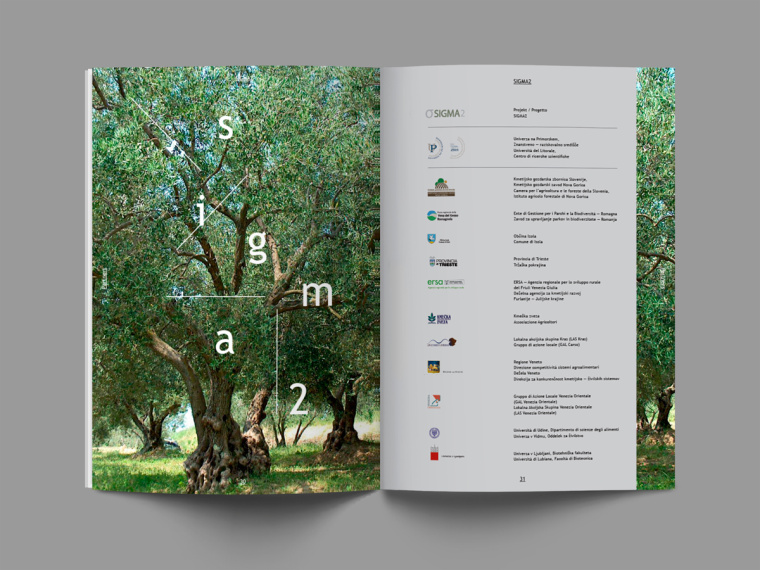 SIGMA2環(huán)境與生物多樣性環(huán)保宣傳冊(cè)設(shè)計(jì)-上海畫(huà)冊(cè)設(shè)計(jì)公司-尚略廣告