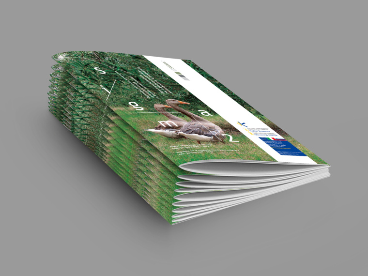 SIGMA2環(huán)境與生物多樣性環(huán)保宣傳冊(cè)設(shè)計(jì)-上海畫(huà)冊(cè)設(shè)計(jì)公司-尚略廣告