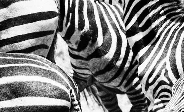 實現品牌差異化-上海尚略品牌策劃公司營銷新知