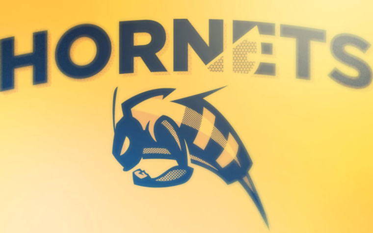 大黃蜂足球隊logo設計-上海logo設計公司