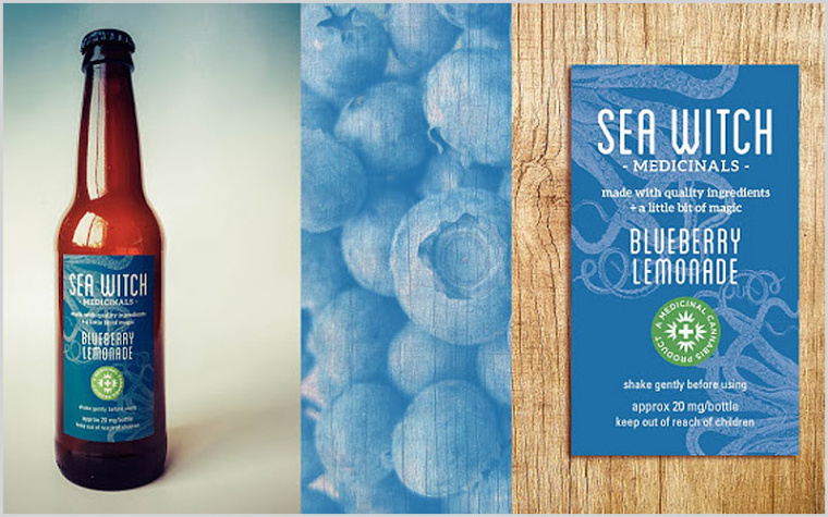 海女巫藥物設(shè)計