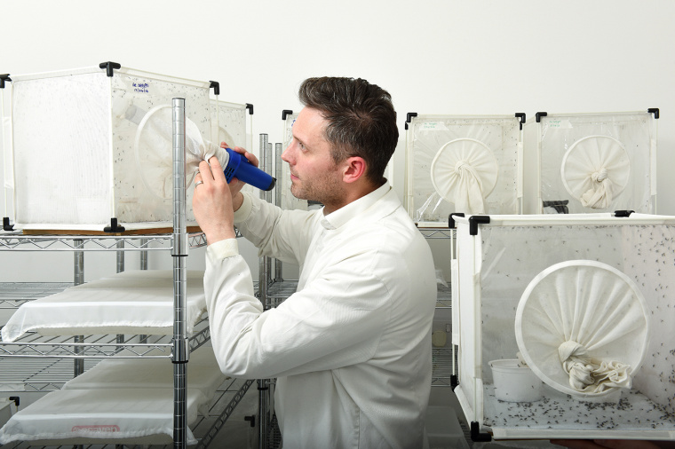 倫敦衛生與熱帶醫學院大學品牌形象設計